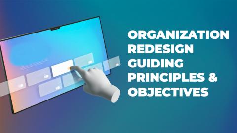 Organization Redesign and Guiding Principles